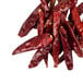 A pile of Panda Tianjin red chilies.