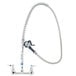 A T&S chrome pet grooming faucet with hose attachment.