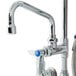 A T&S chrome pet grooming faucet with a hose attached.