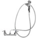 A T&S wall mount pet grooming faucet with hoses and an aluminum spray valve.