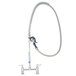A T&S stainless steel pet grooming faucet with a hose.