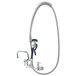 A T&S stainless steel wall mount pet grooming faucet with a hose.