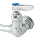 A T&S chrome pet grooming faucet with blue handles.