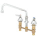 A chrome T&S medical faucet with lever handles.