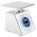 An Edlund stainless steel portion scale with a blue dial.