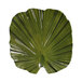 A white melamine platter with a green leaf design.