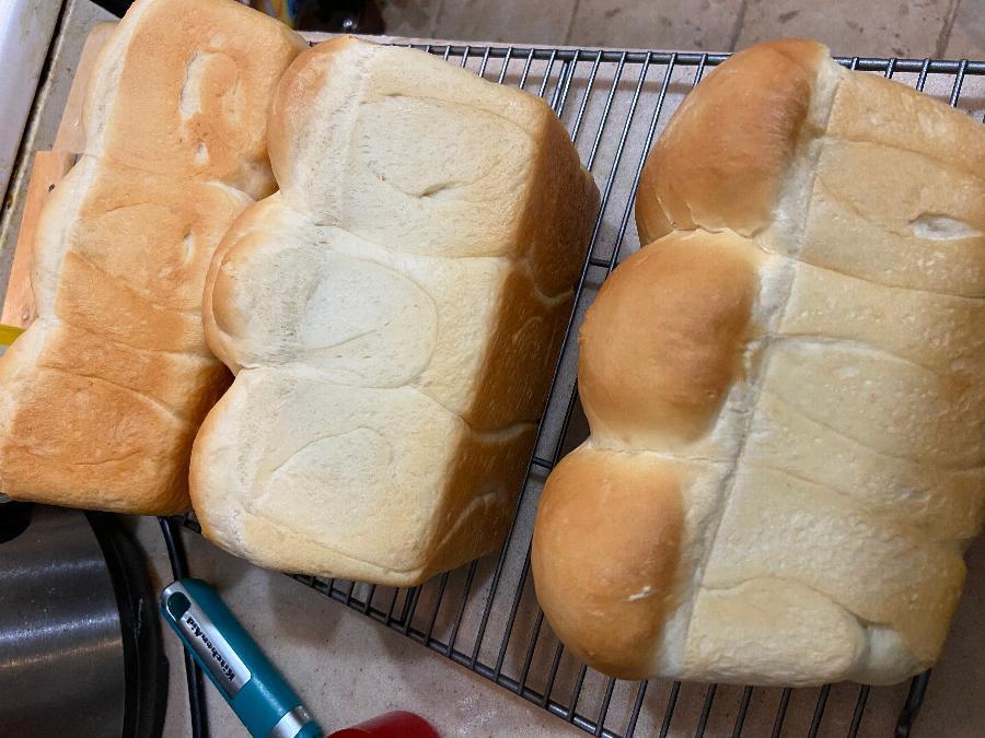 King Arthur Sir Lancelot HiGluten Flour 50 lb. Bulk Bag