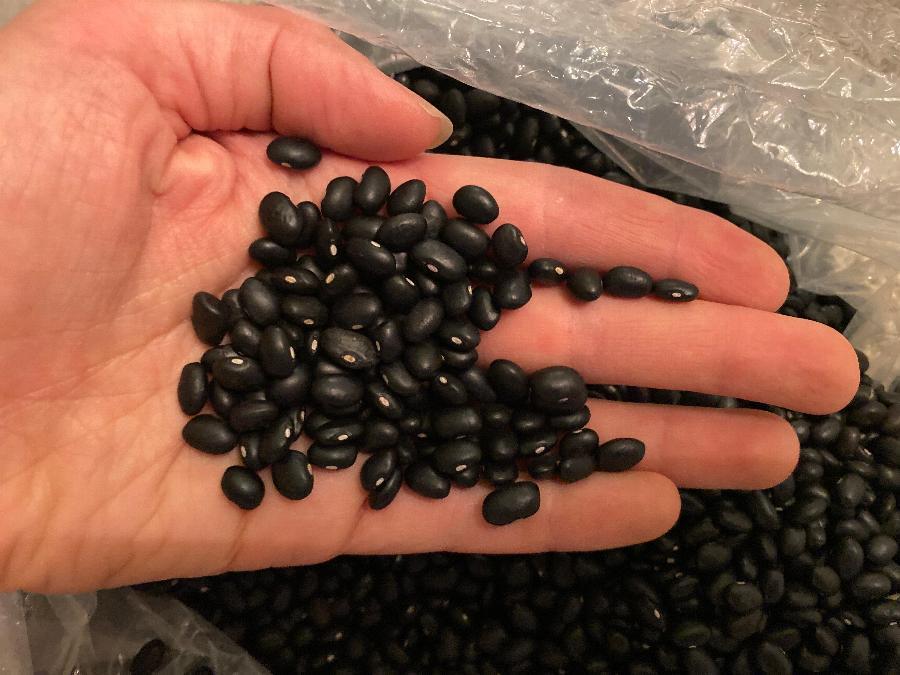 Dried Black Beans 20 lb.