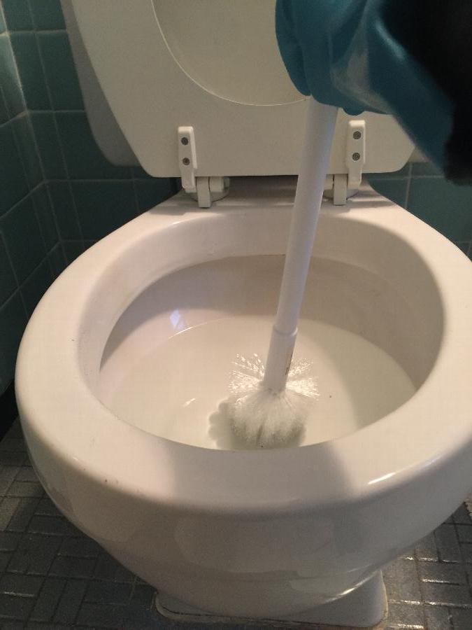 Toilet Bowl Brush No Scratch (Impact) staurantStore