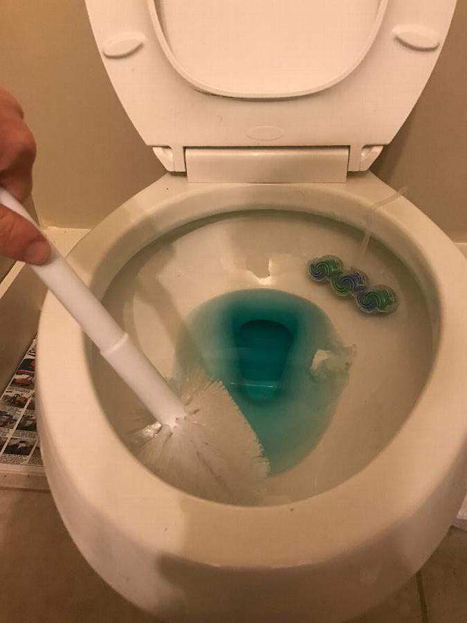 Toilet Bowl Brush No Scratch (Impact) staurantStore