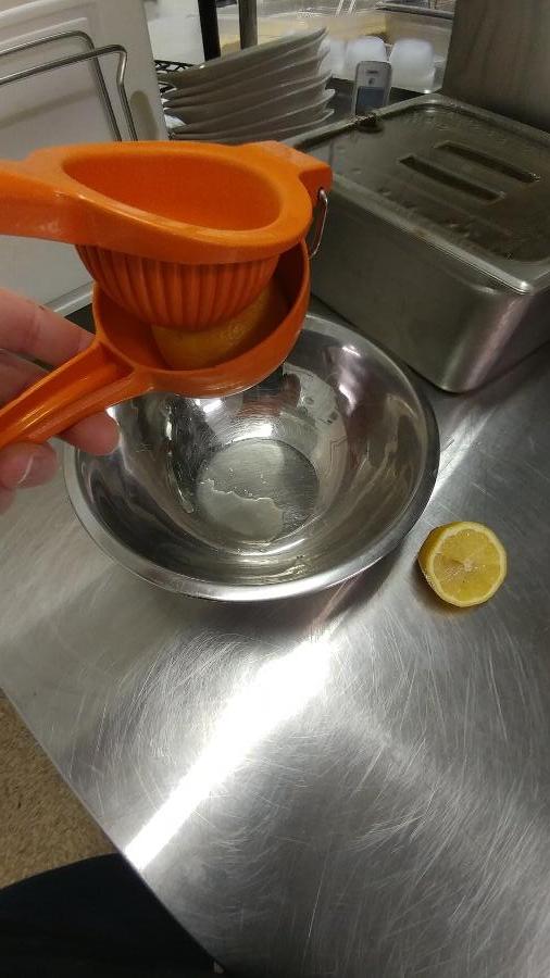 Orange Squeezer Hand Held Manual