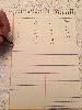 Amazon Basics Steno Books - 6x9 Inch, Gregg Ruled, Lebanon