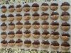 Ghirardelli Dark Chocolate Coating Wafers 
Chocolate Dipped Cookies 