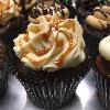 Love the color of these liners with our salted caramel cupcakes. 