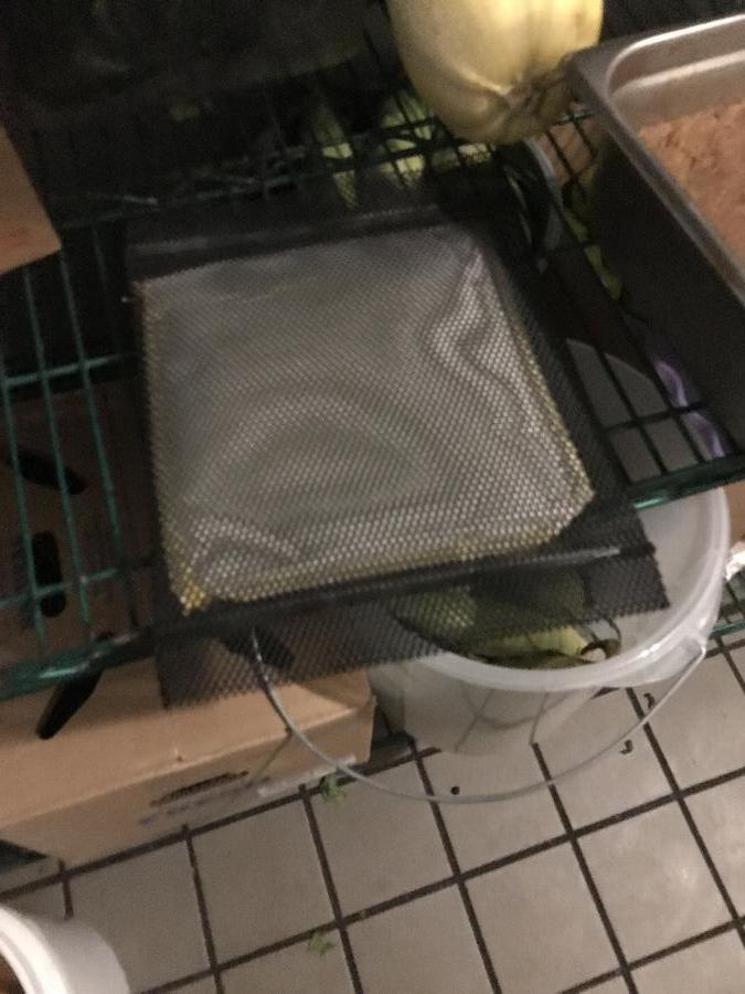 San Jamar FK1000 FridgeKare Refrigerator Air Freshener