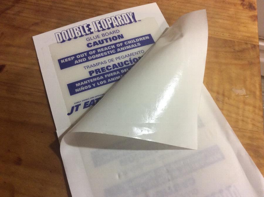 Mouse Glue Board Glue Boards for Mice