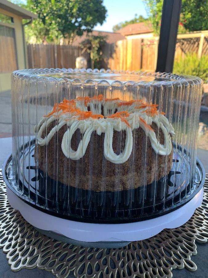 10" Plastic Cake Containers with Dome Lid 10/Pack