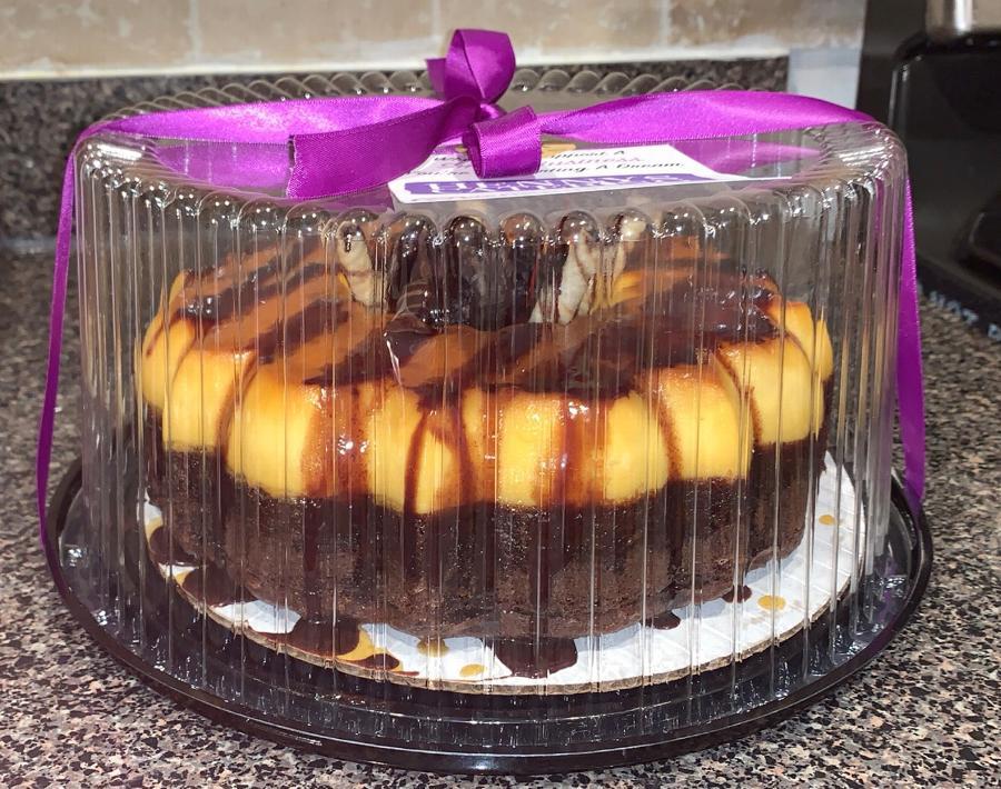 10" Plastic Cake Containers with Dome Lid 10/Pack