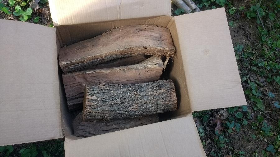 mesquite logs for smoking