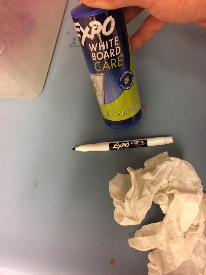 Expo Dry Erase Cleaner Expo Spray Cleaner staurantStore