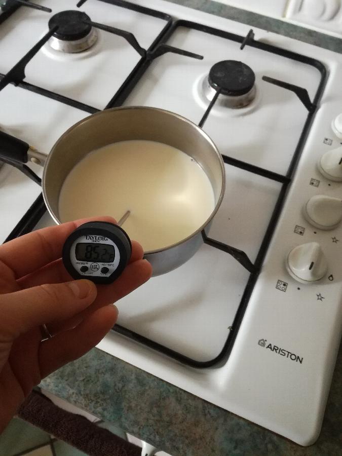 Taylor 9840RB 4 3/4" Digital Pocket Probe Thermometer with Rubber Boot