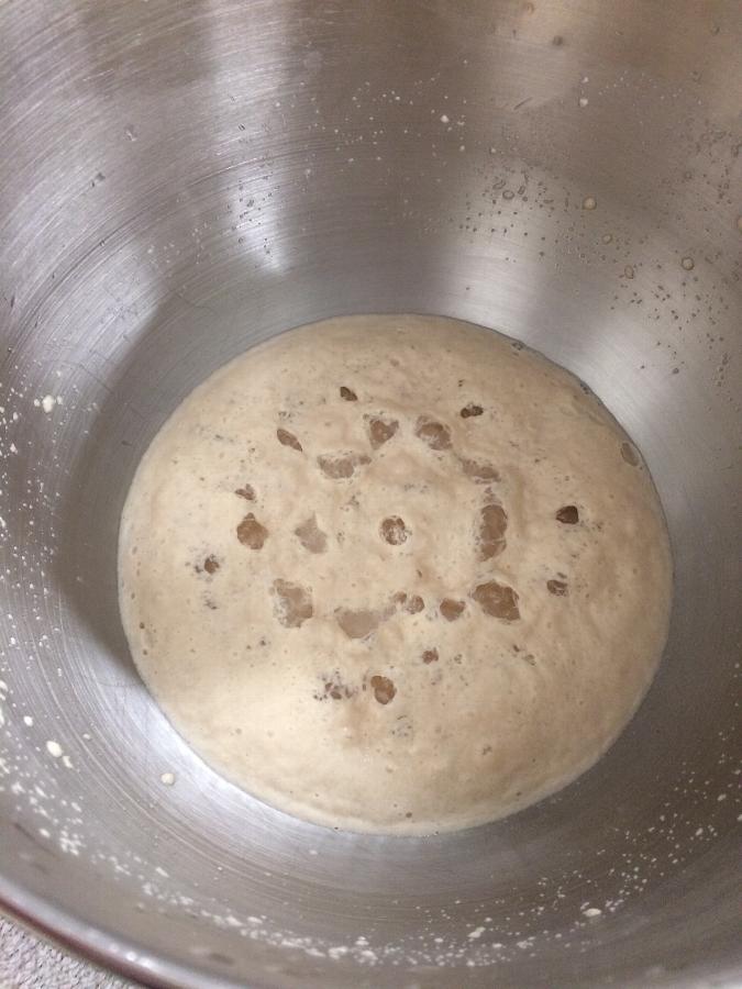 Lesaffre SAFInstant 1 lb. Vacuum Packed Yeast