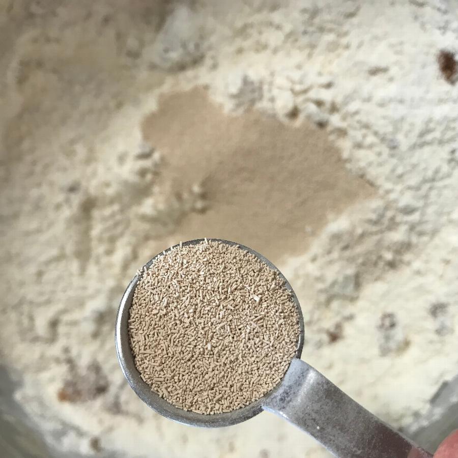 Lesaffre SAFInstant 1 lb. Premium Vacuum Packed Yeast