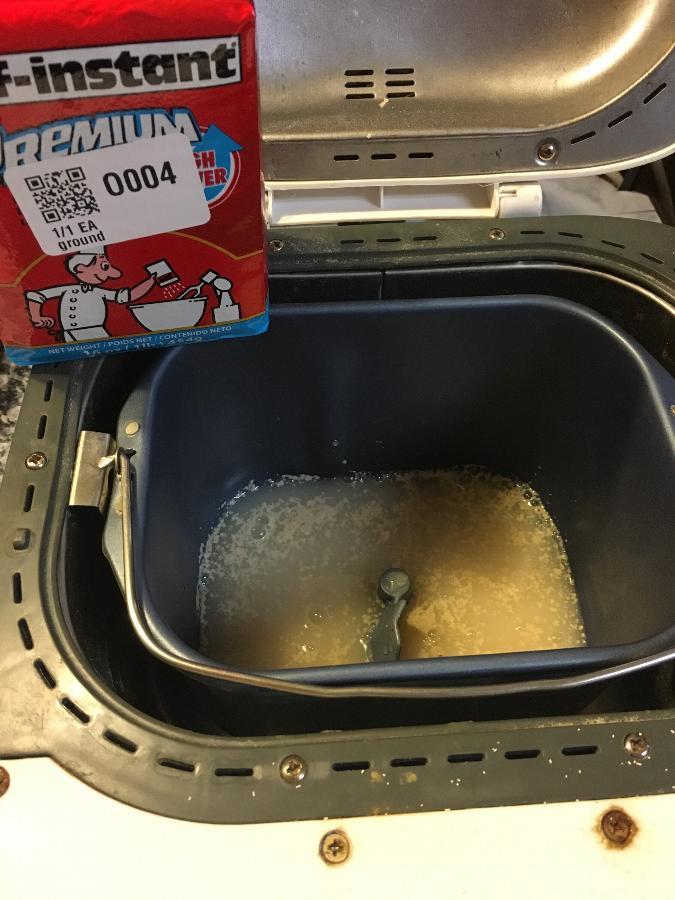 Lesaffre SAFInstant 1 lb. Premium Vacuum Packed Yeast