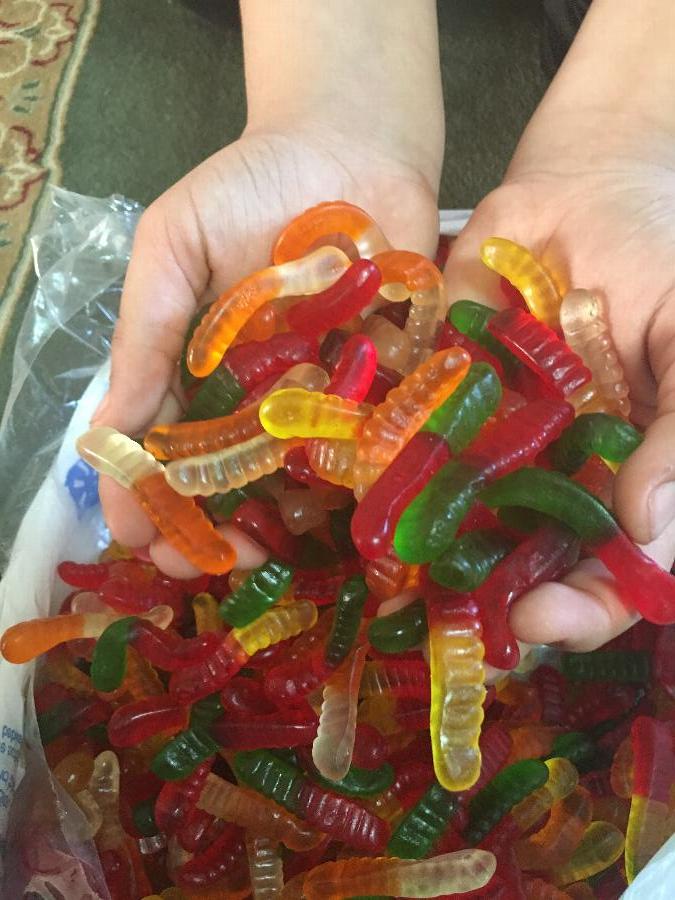 ze dried gummy worms ze dried gummy worms