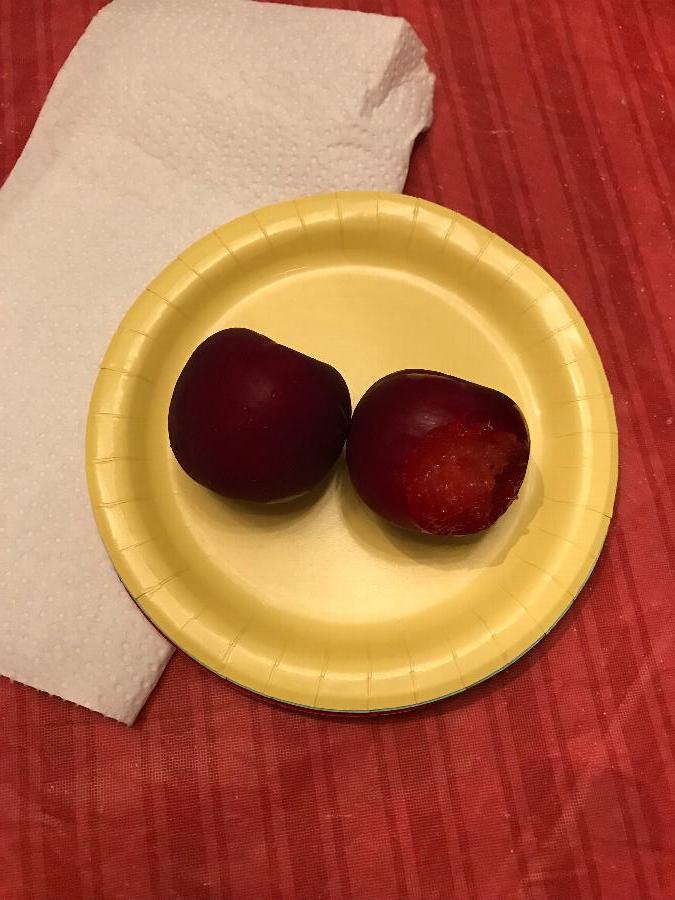 Creative Converting 79102B 7" Mimosa Yellow Paper Plate 24/Pack