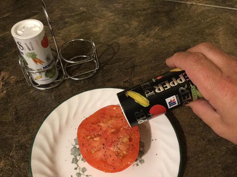 Morton Disposable Salt and Pepper Shaker Set