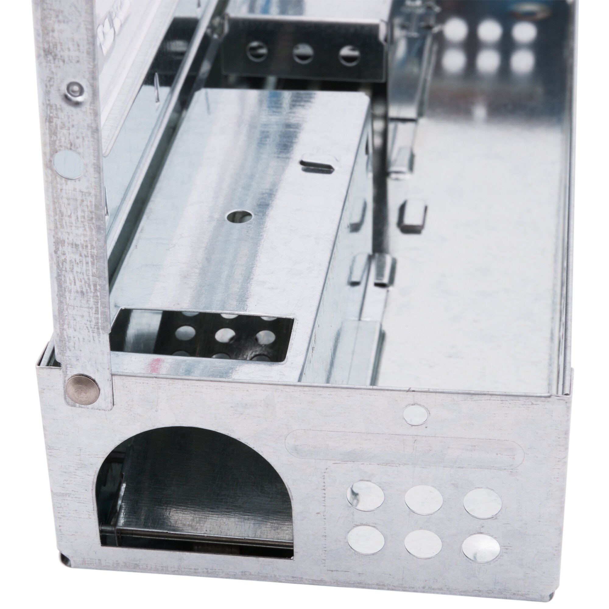 JT Eaton 423CL Little Pete Multiple Catch Mouse Trap with Clear Lid