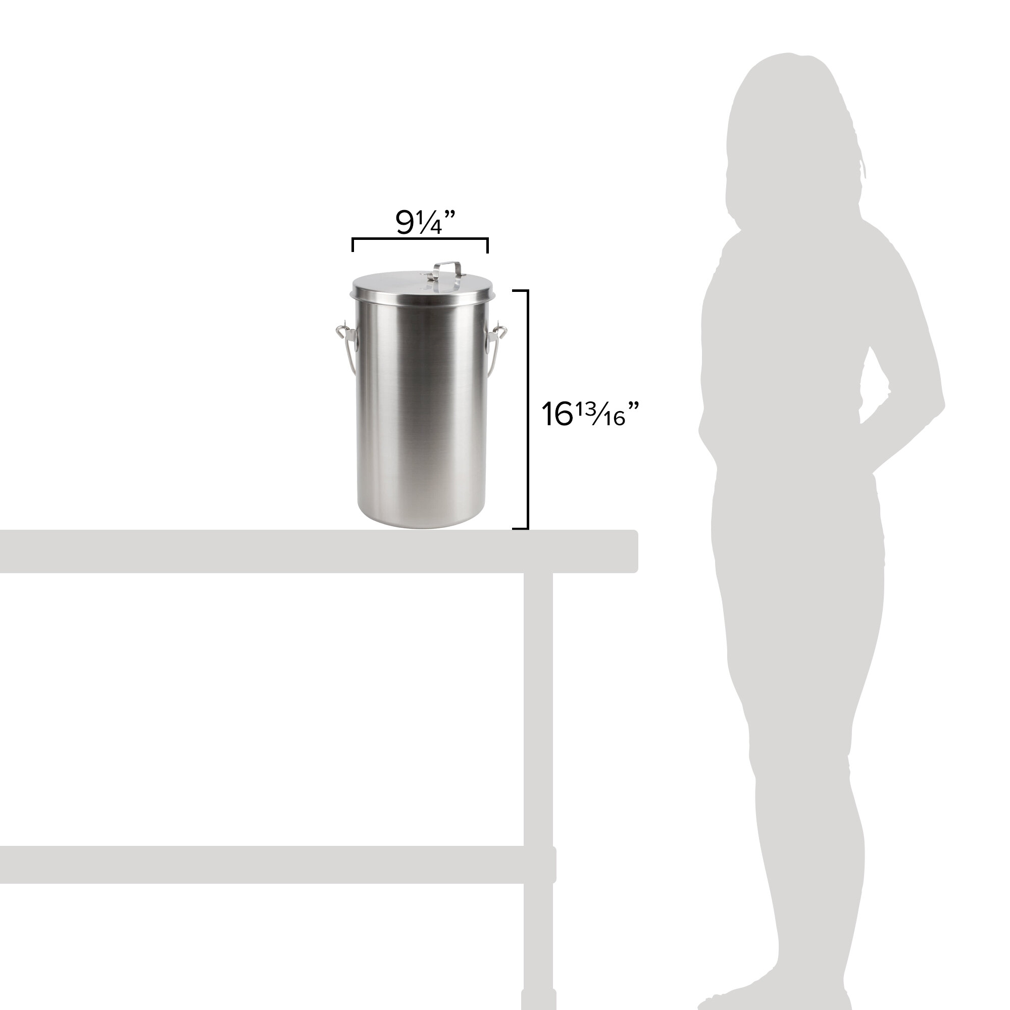 Vollrath 59200 20 Qt. Stainless Steel Covered Ice Cream Pail with Hook