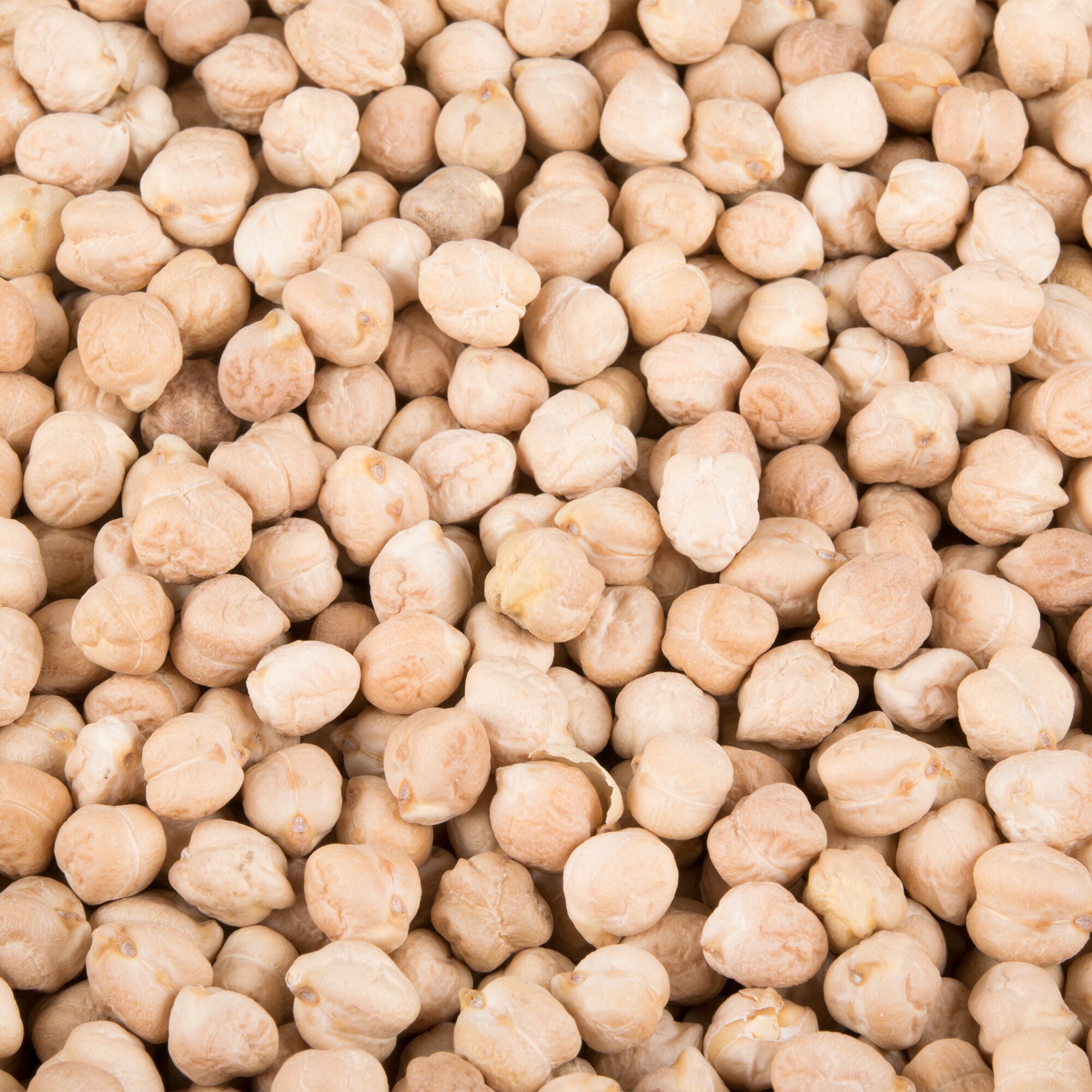 Bulk Chickpeas Dried Garbanzo Beans Lb Bag