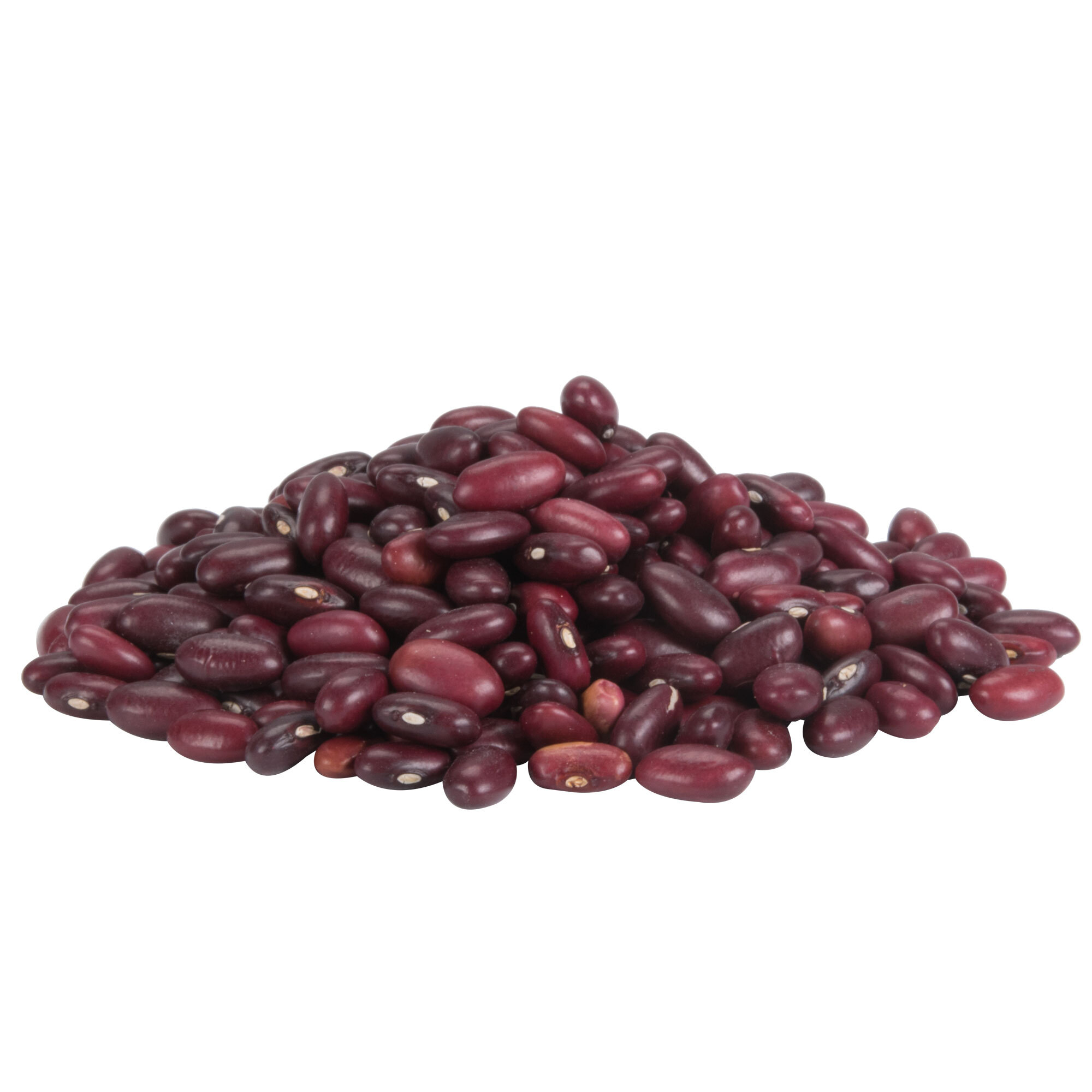 Dried Small Red Beans - 20 lb.