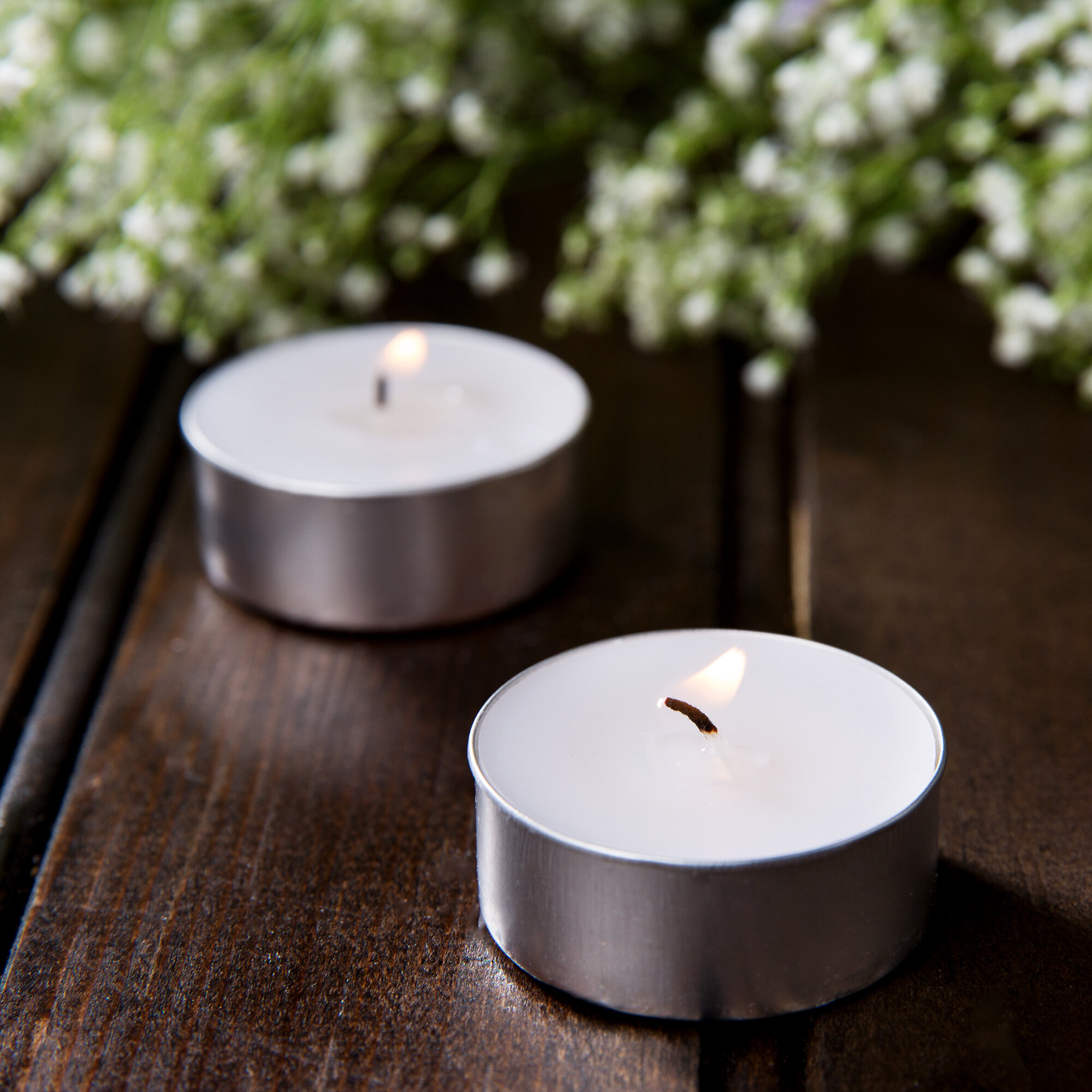 Leola Candle 5 to 6 Hour White Tea Light Candle 500/Case