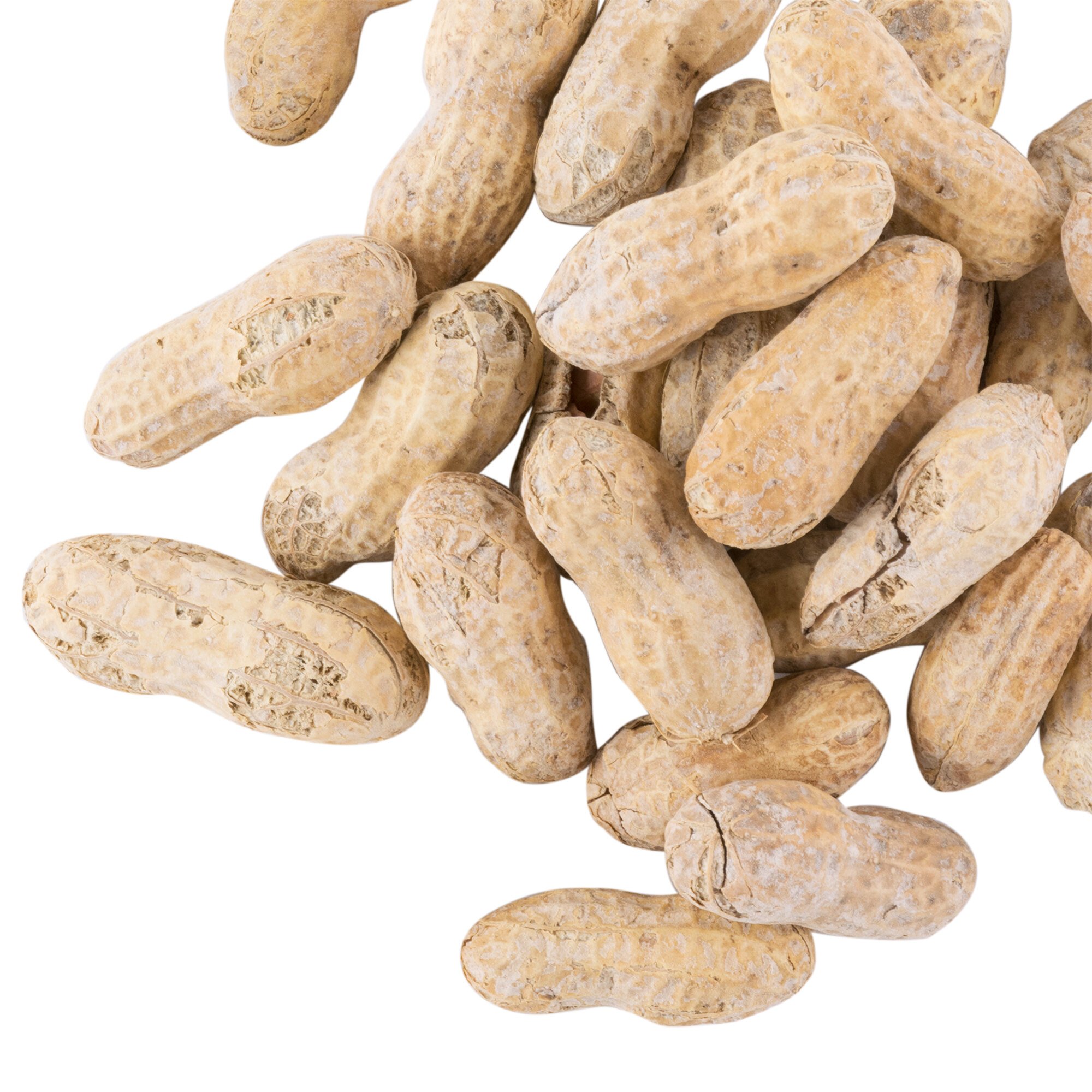 the peanut shell stuffed animals