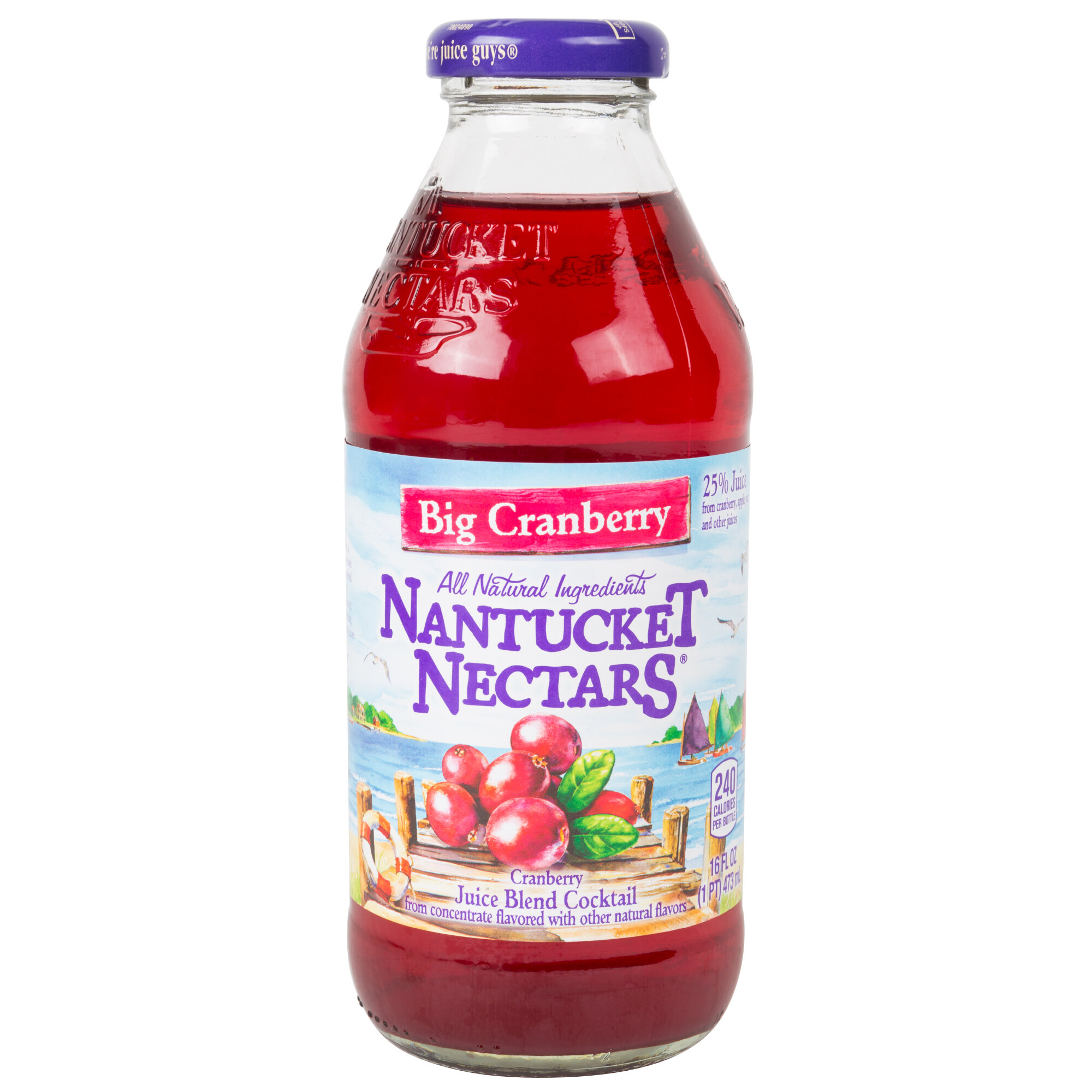 Quench Your Thirst With Nantucket Nectars' Luscious Red Plum Juice