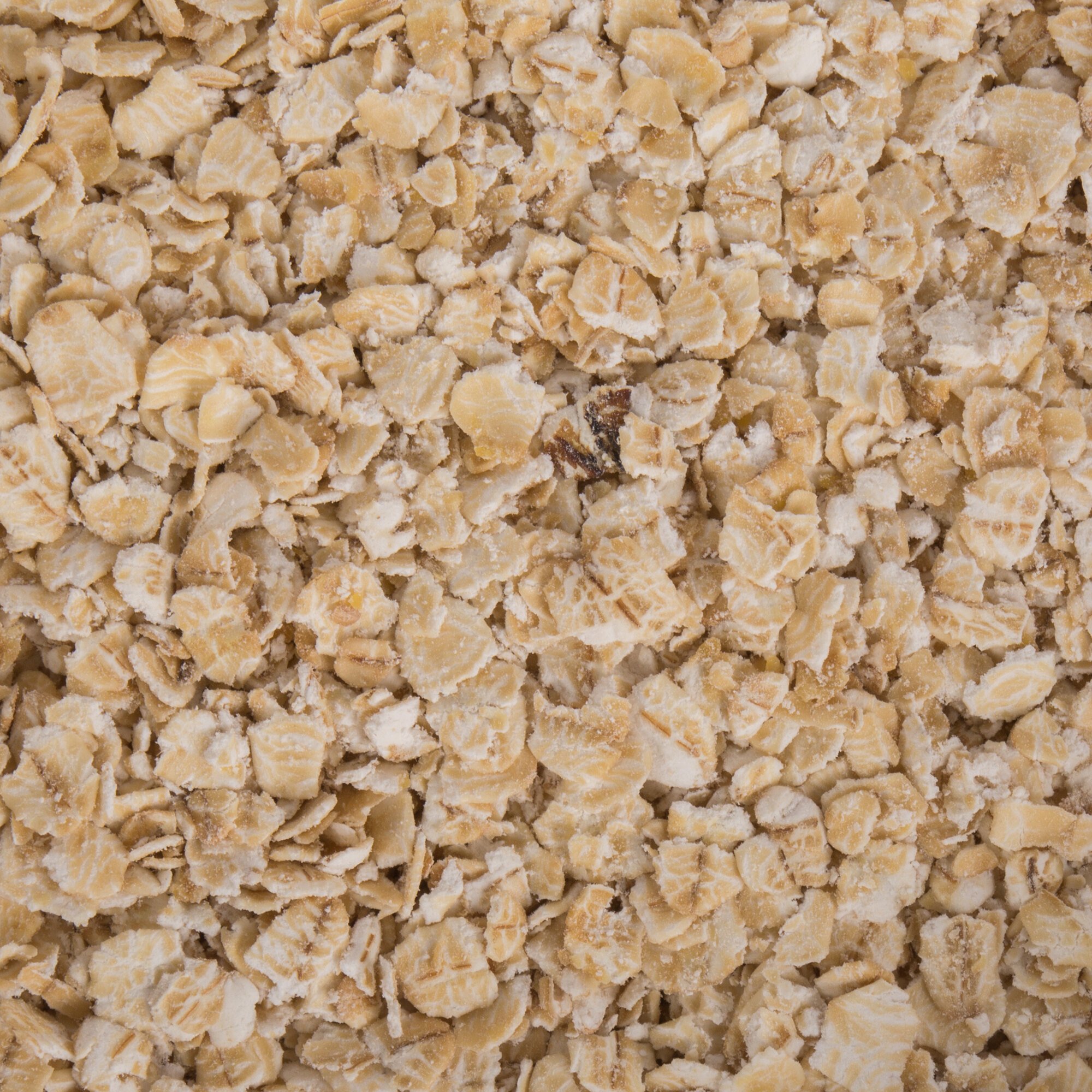 Bulk Quick Rolled Oats 50 Lb Bag Webstaurantstore