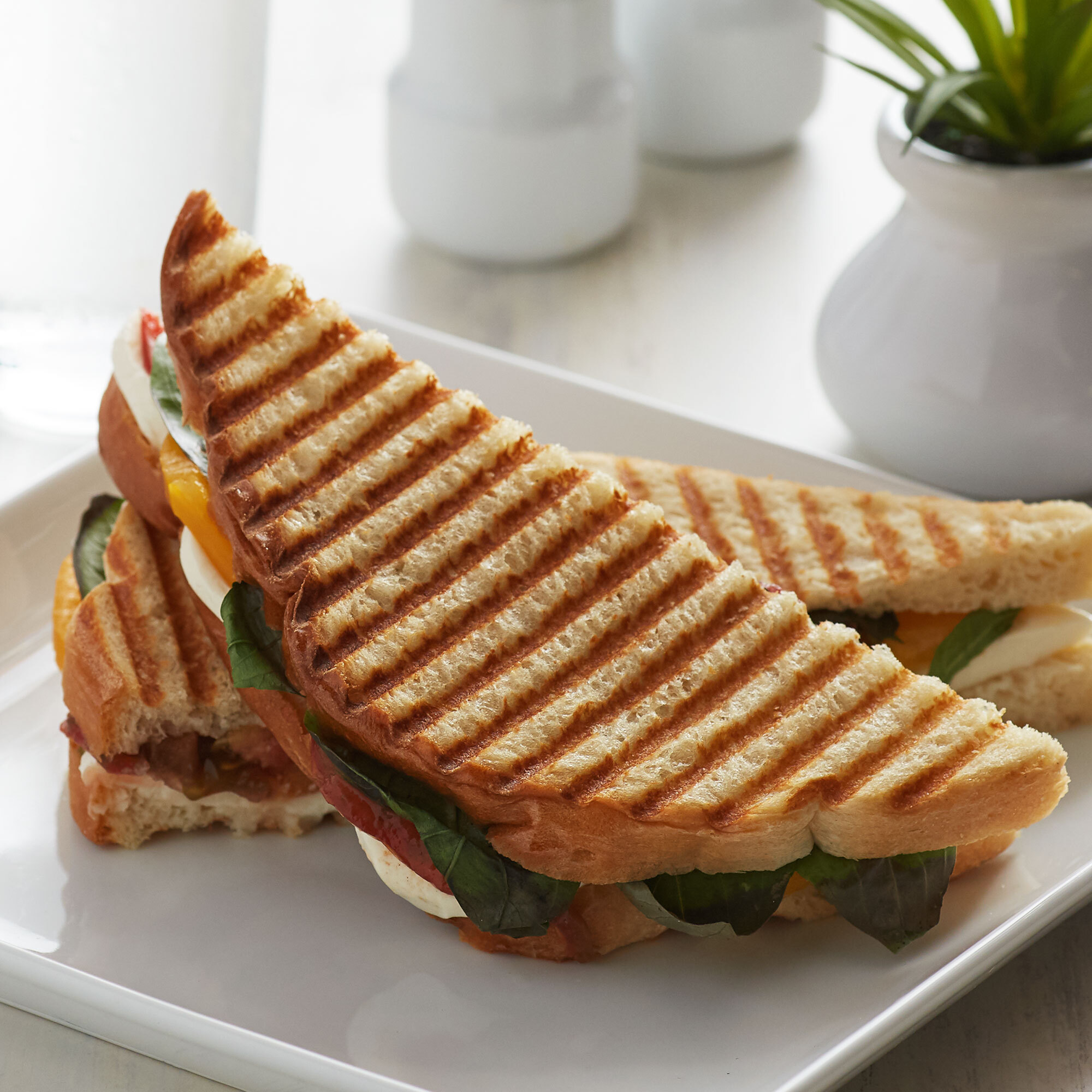 Wholesome Harvest White Panini Bread Loaf 10/Case