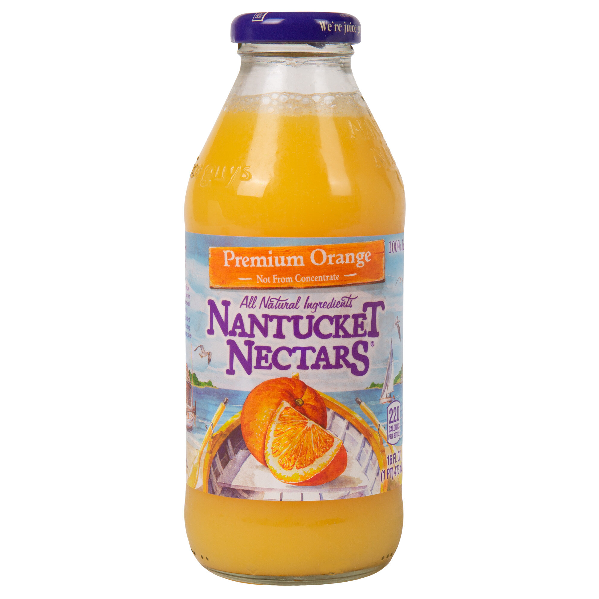 Quench Your Thirst With Nantucket Nectars' Luscious Red Plum Juice