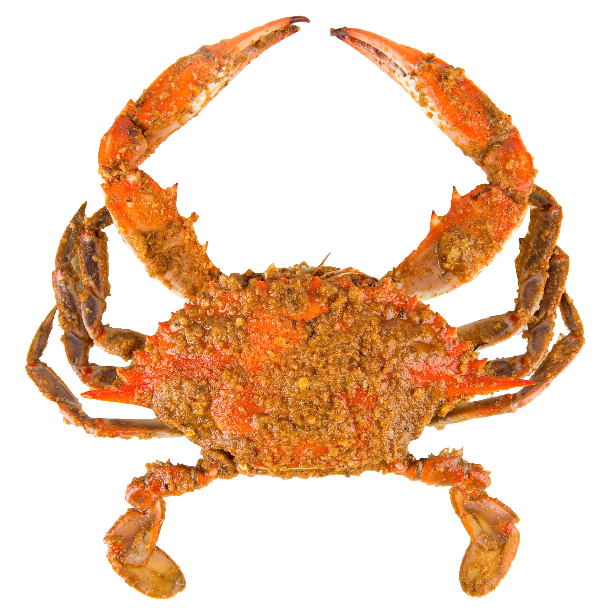 md blue crab