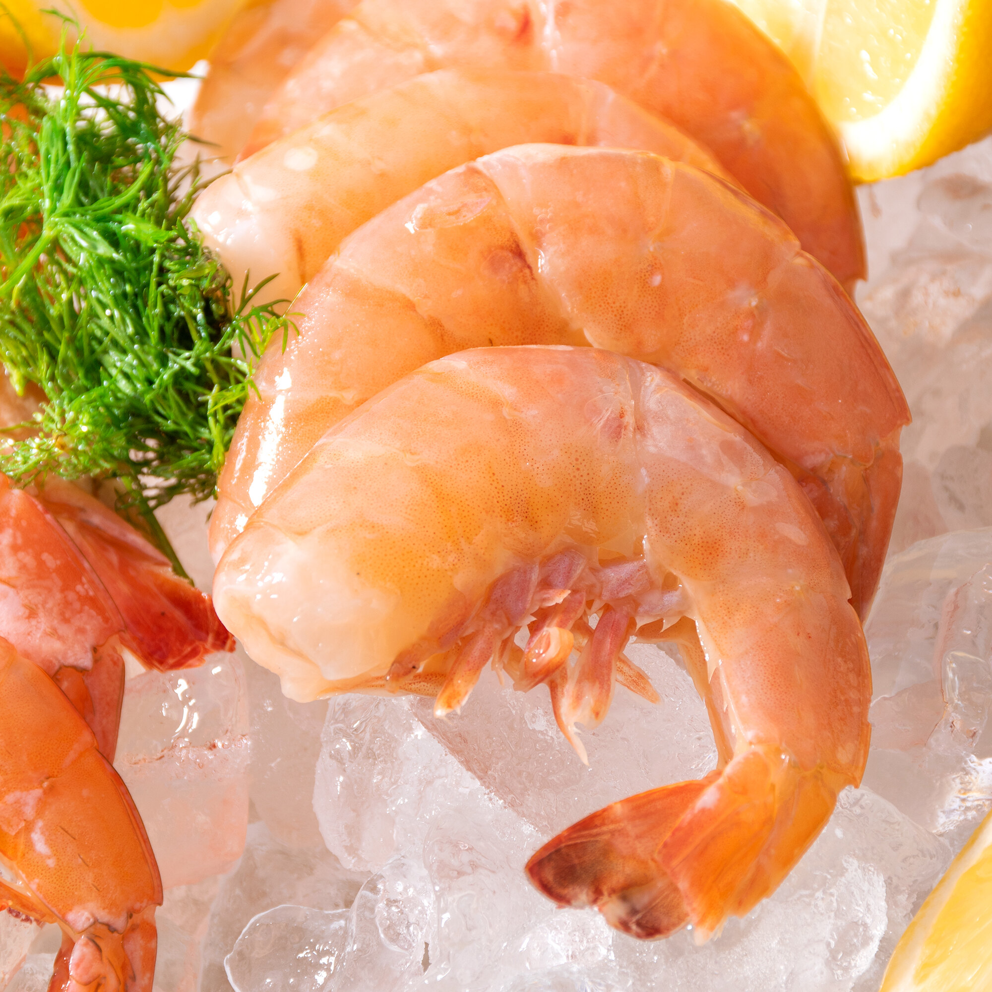 Growmart Seafood Supplier