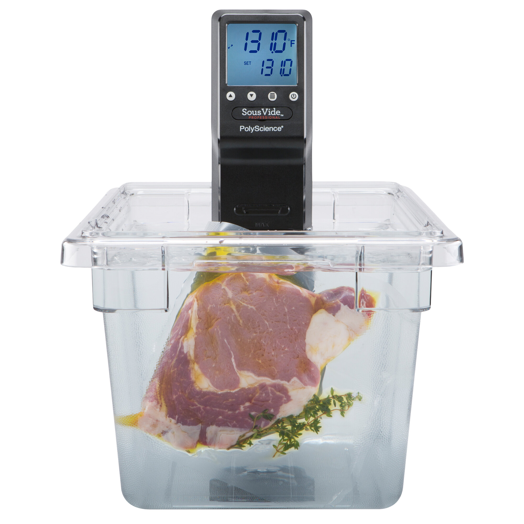 PolyScience SVCAC1B Sous Vide Immersion Circulator Head 120V, 1100W