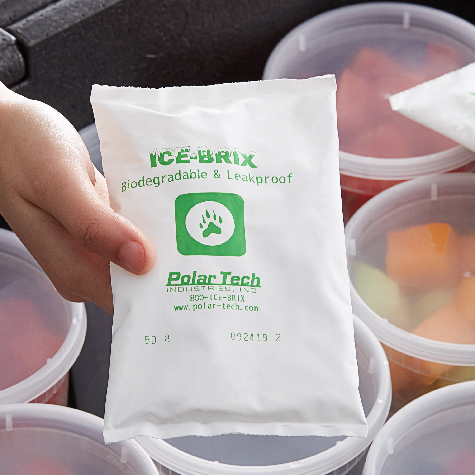 polar tech ice brix