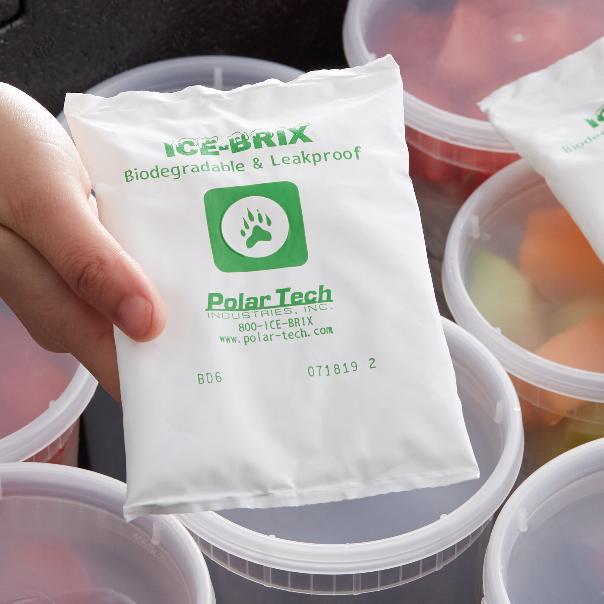 polar tech ice brix