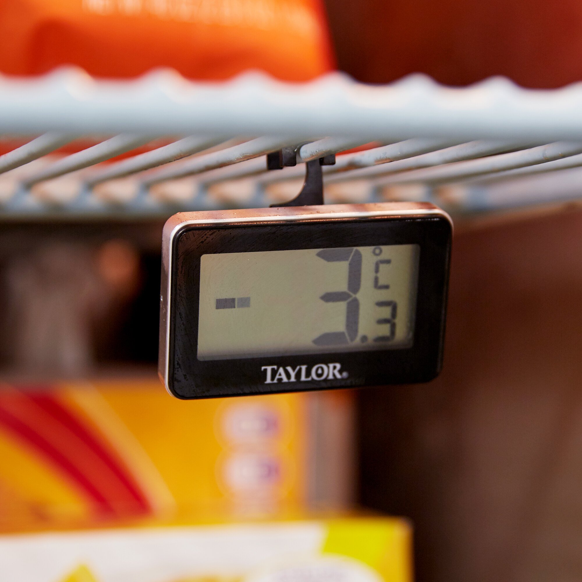 Taylor 1443 Digital Refrigerator / Freezer Thermometer