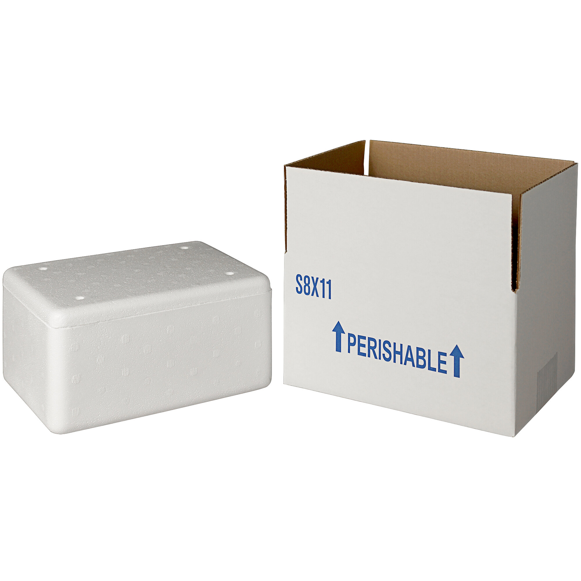 9 1/4" x 6 1/4" x 3 1/2" Insulated Foam Cooler with Shipping Box 3/4