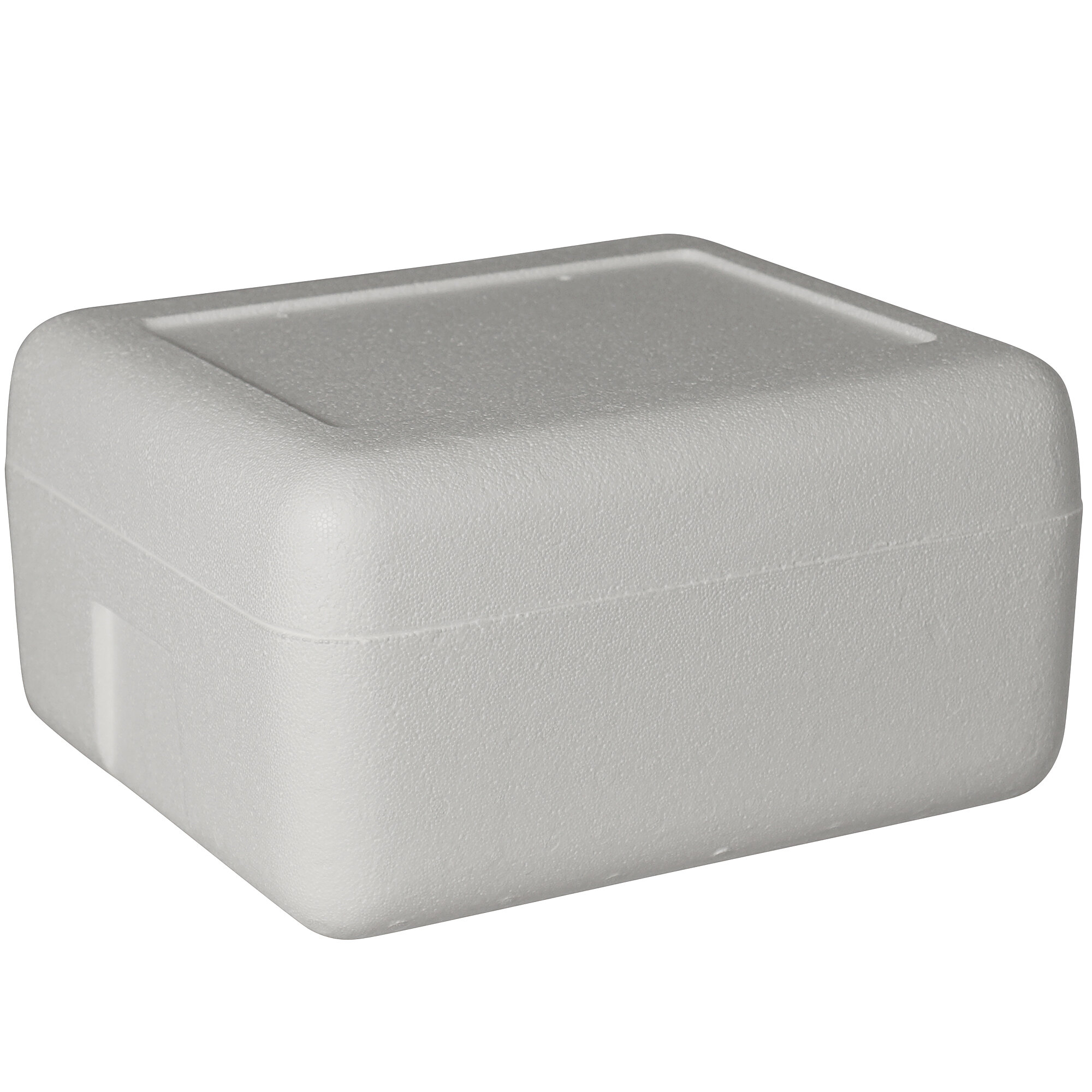 12 1/4" x 10 7/8" x 5" Insulated Foam Cooler 1 1/2" Thickness