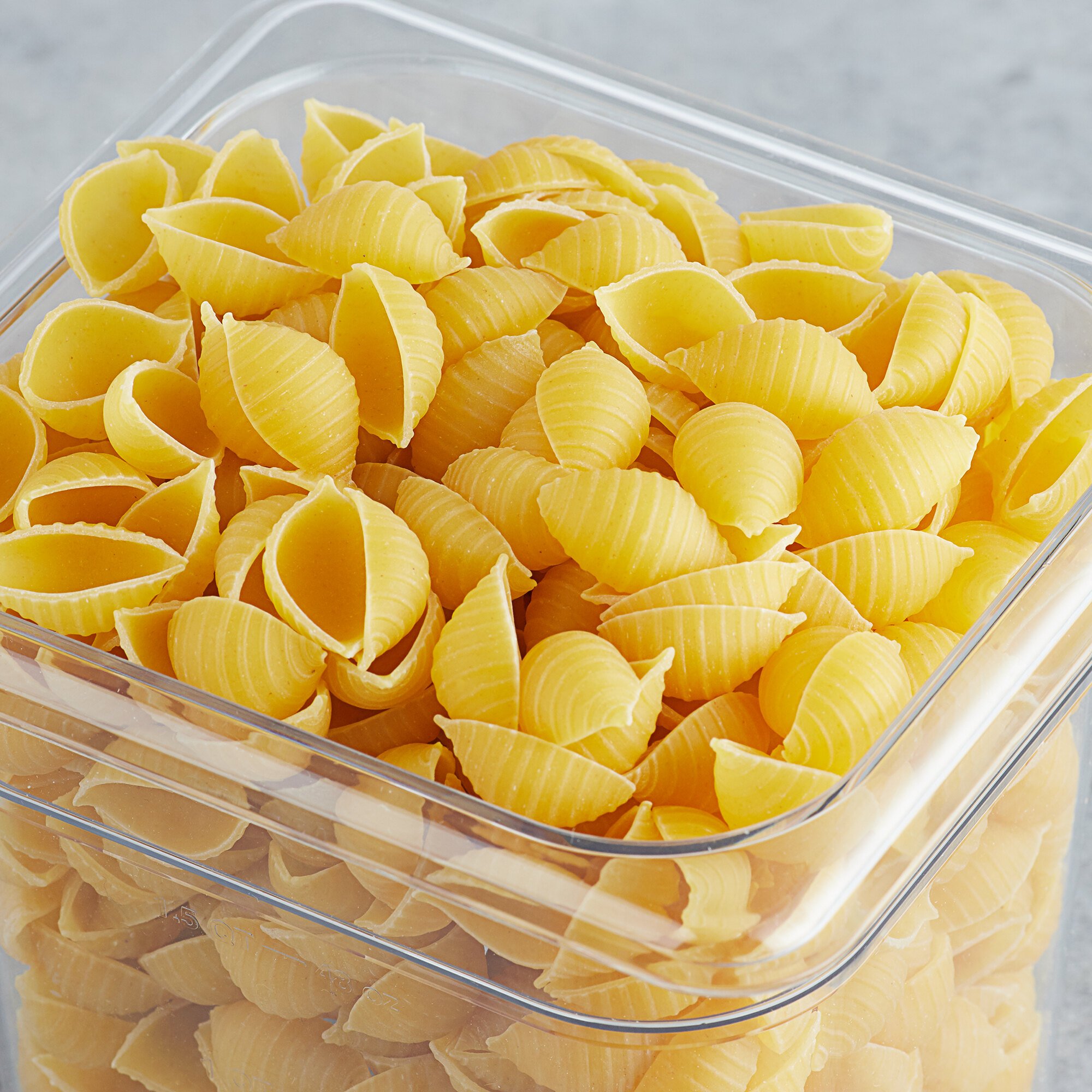 giant conchiglie pasta